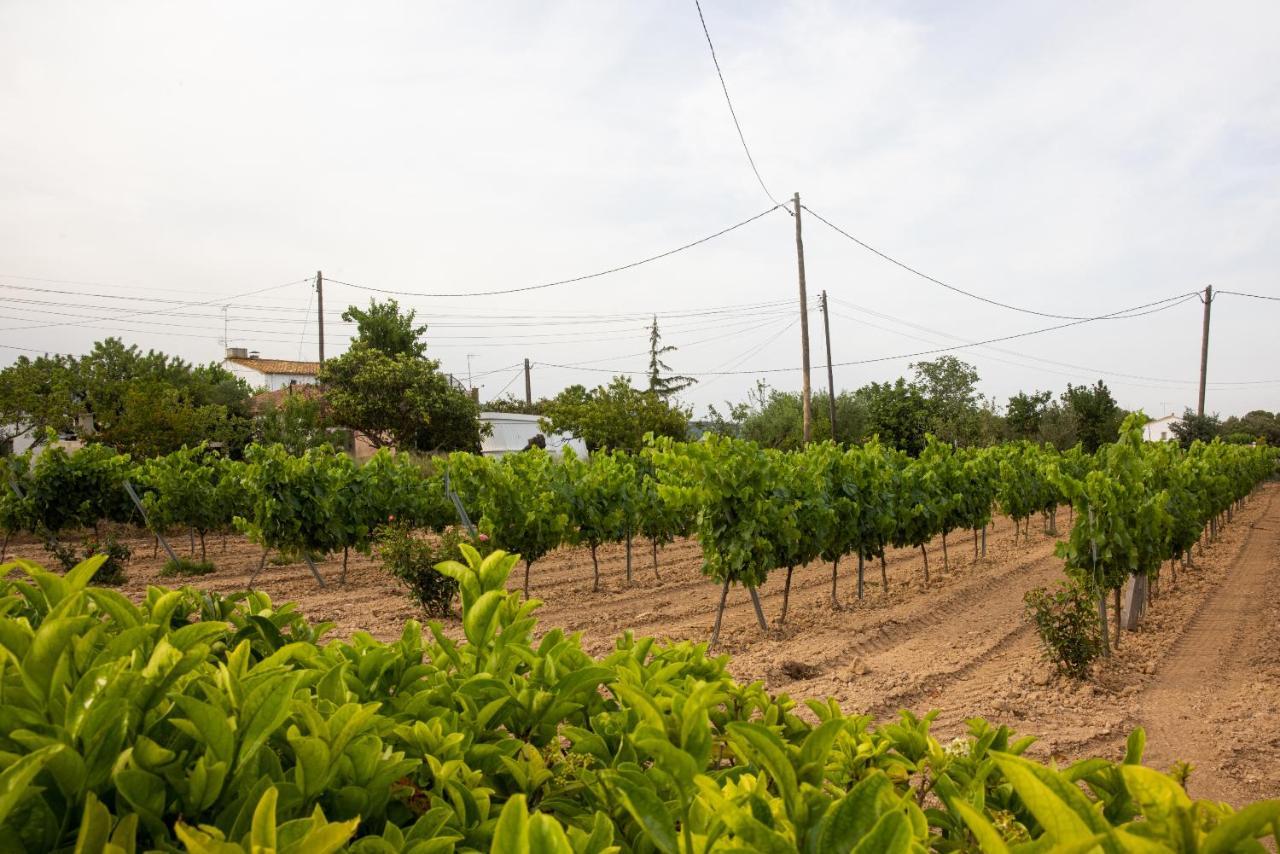 Masia Cal Sisplau: Vineyard Retreat with Pool near Barcelona San Martin Sarroca Exterior photo